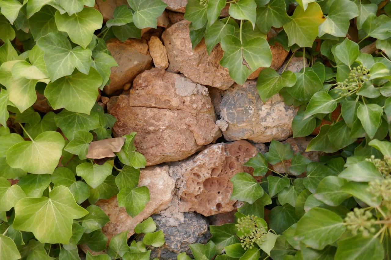 La Casa De Piedra, Una Ventana Al Paraiso Matet Εξωτερικό φωτογραφία